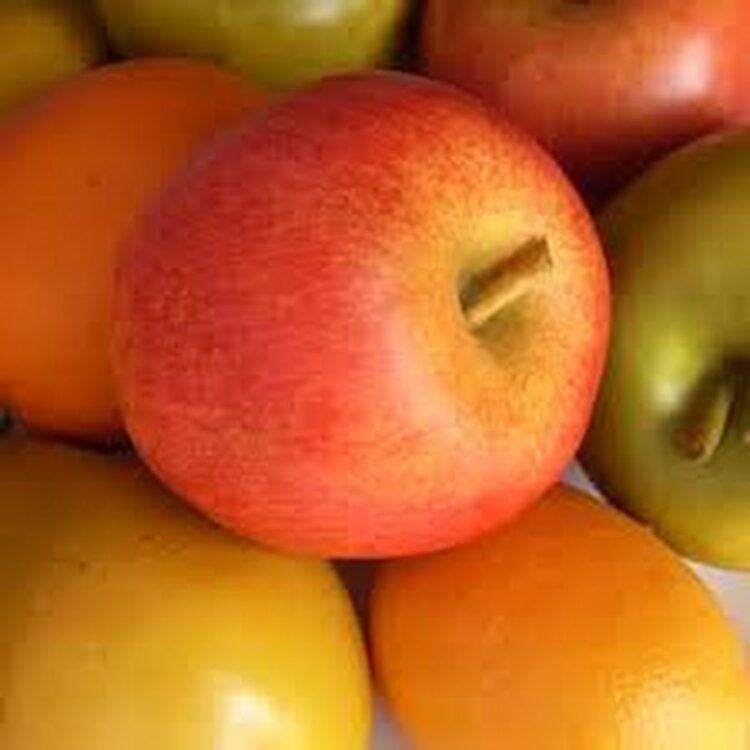 Фронтальный погрузчик Weichai WL820H